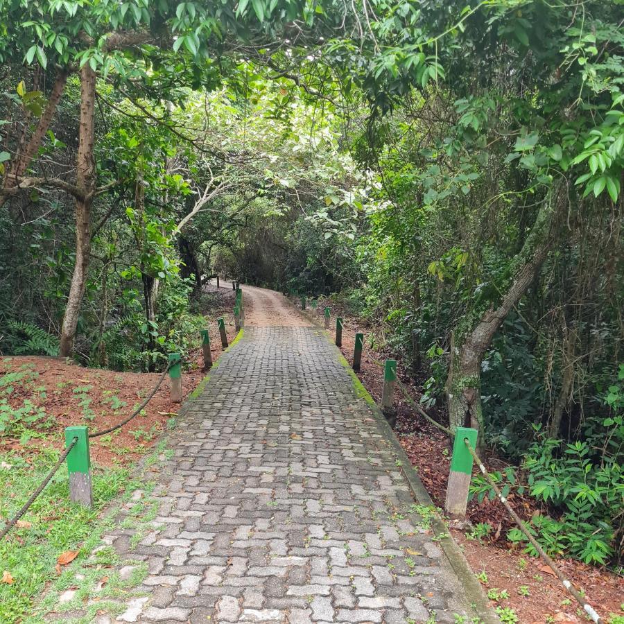 Suite Ampla No Melhor Da Barra Da Tijuca Rio de Janeiro Luaran gambar